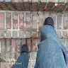 board-img