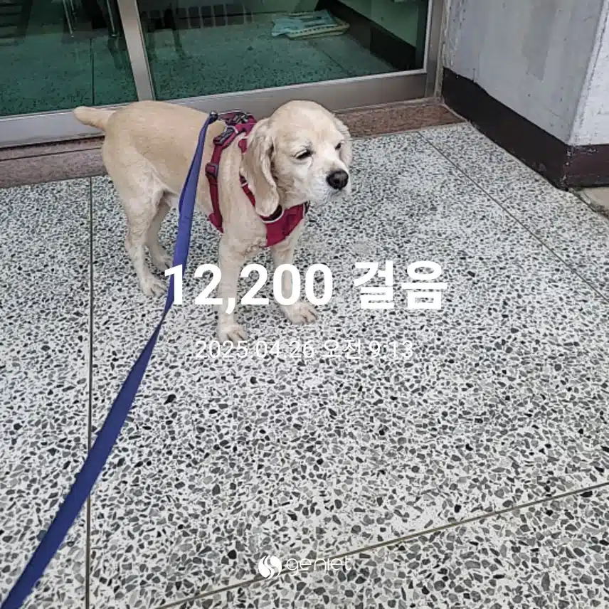 토요일 마무리 