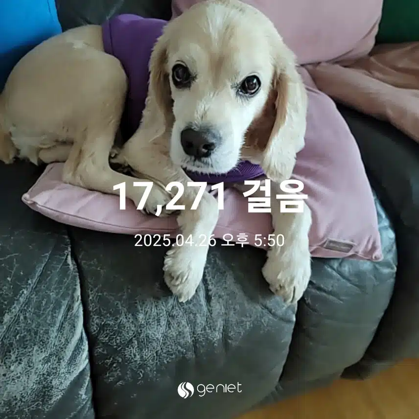 토요일 마무리 