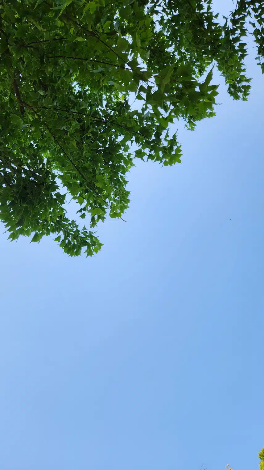 즐거운 토요일!!^^