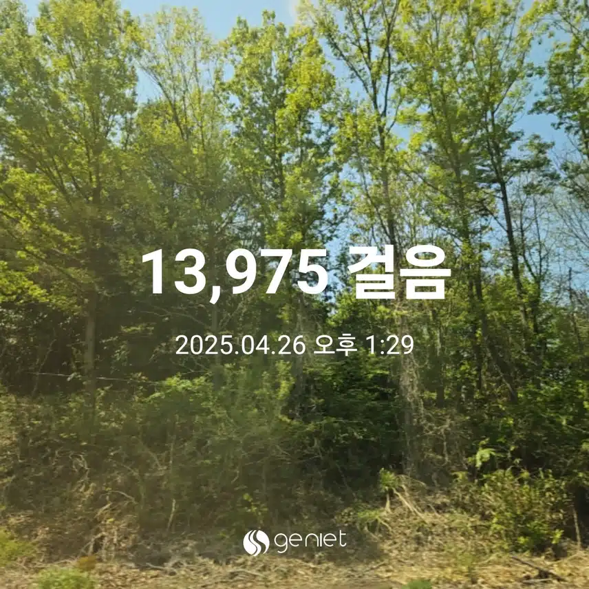 산책길 걷기와 계단오르기 