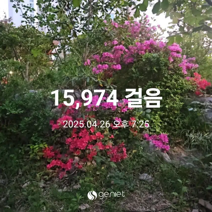 저녁 식후 운동 🧑‍🤝‍🧑