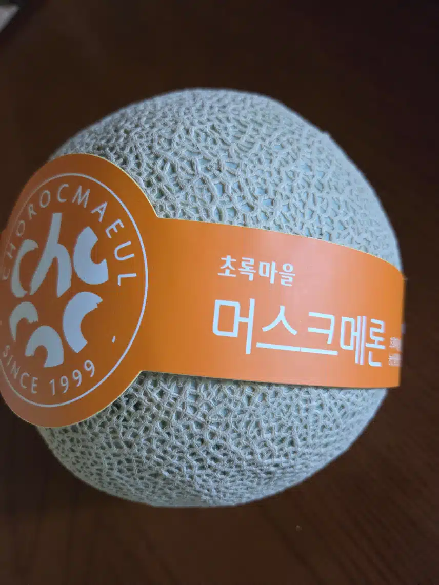 메론 좀 먹어볼까요