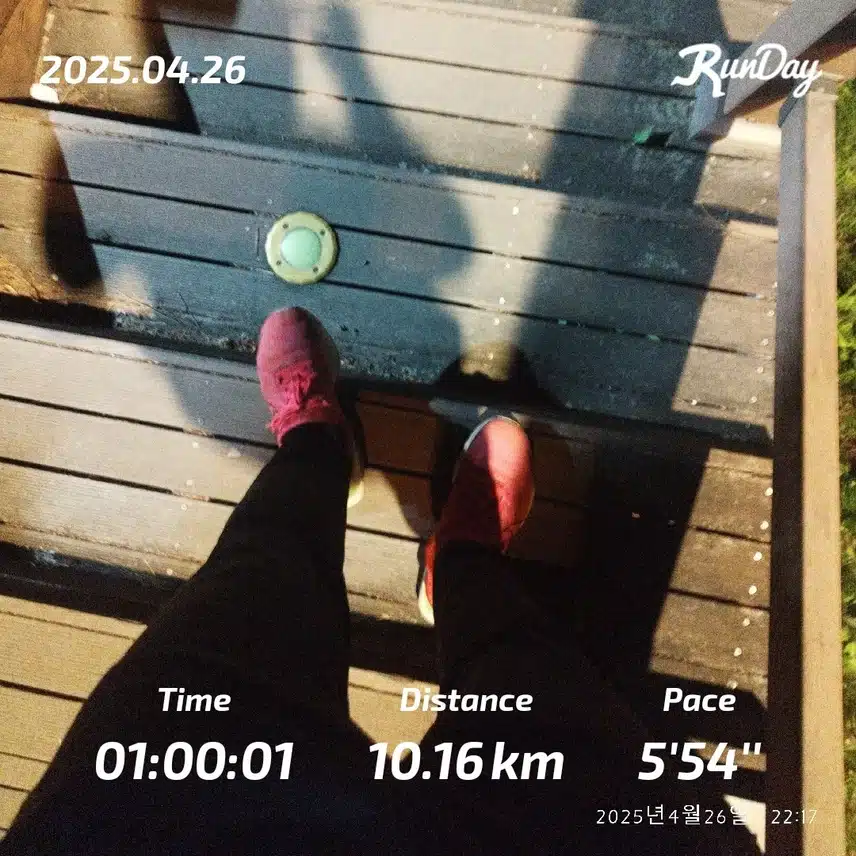 10km 즐겁게 달렸습니다🏃🏻‍♂️