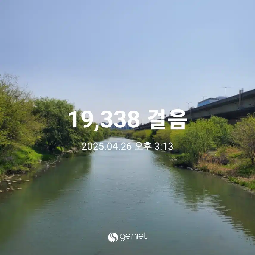 열심히 걸은 날