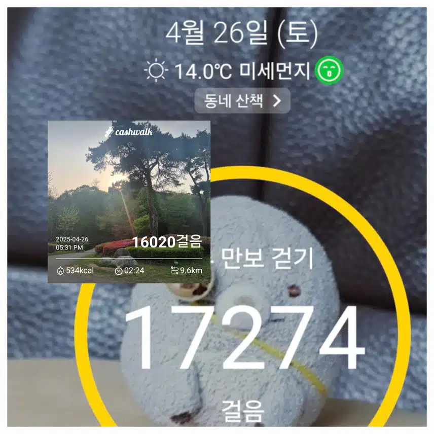 토요일 나와의 약속 걷기 완료~