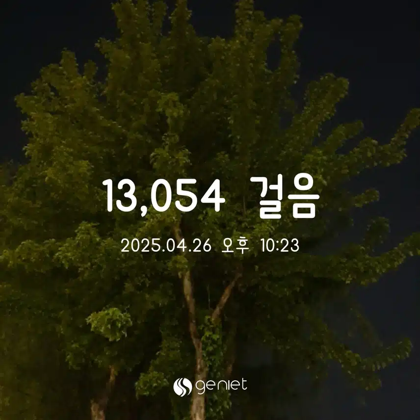 토 만보완료