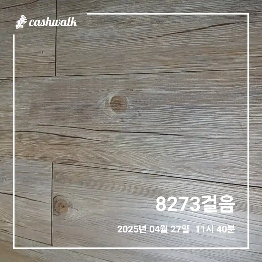 락토페린과 5천보