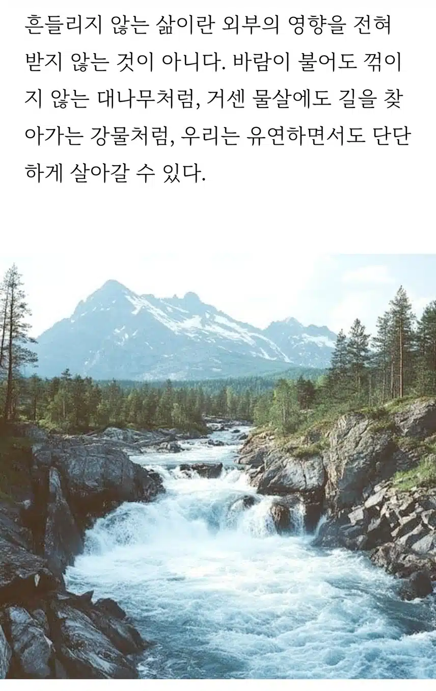 흔들리지 않게 단단히