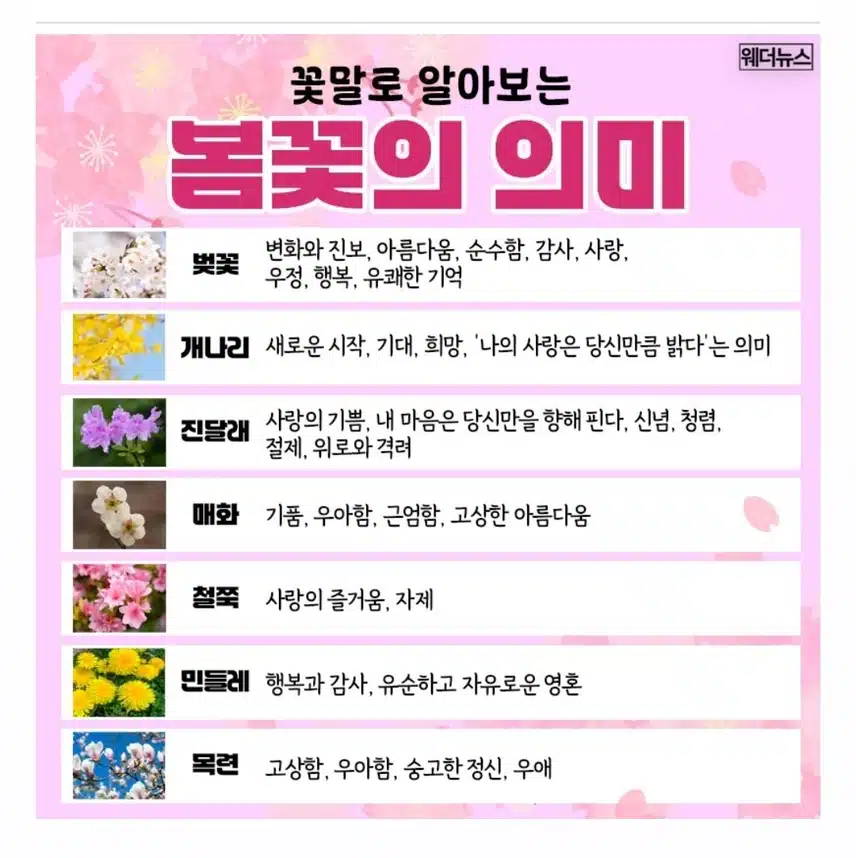 꽃말
