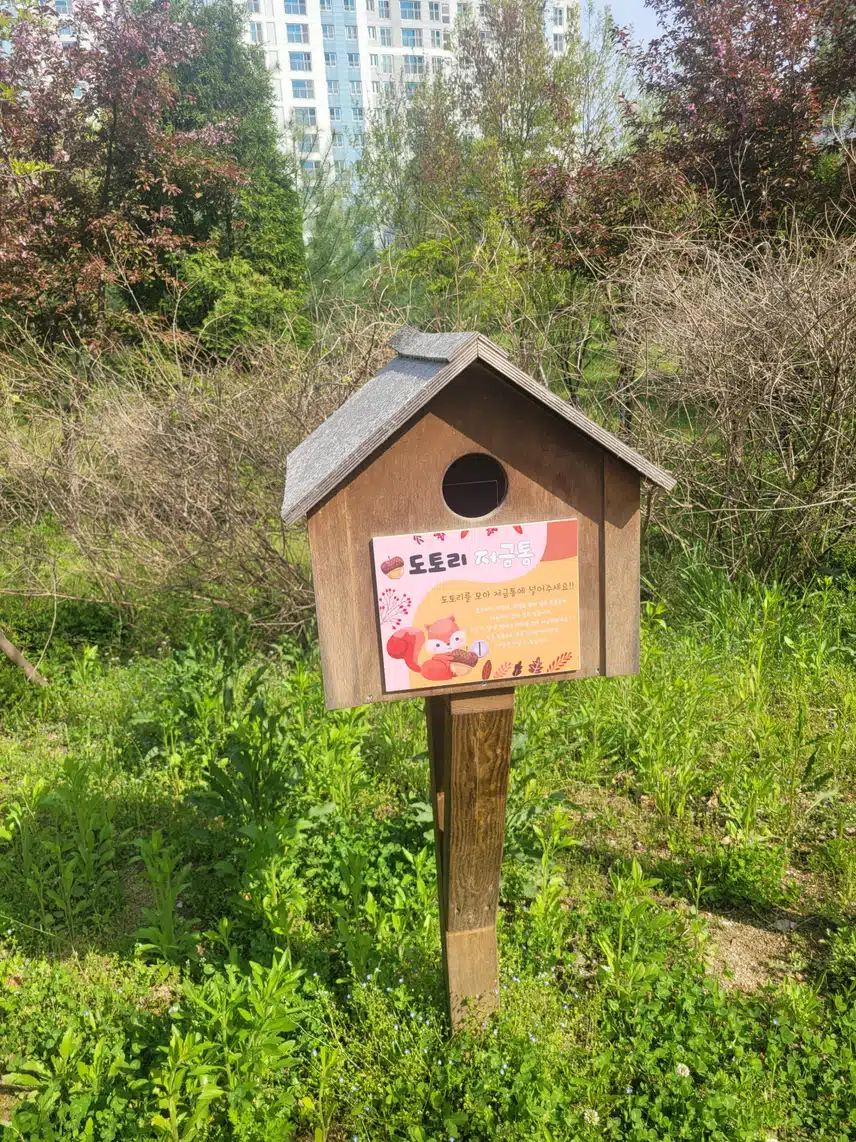 도토리 저금통