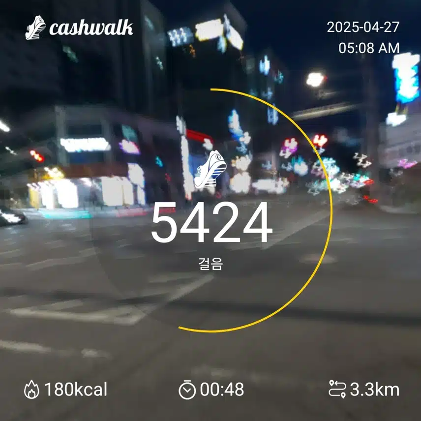 5000보 걷기
