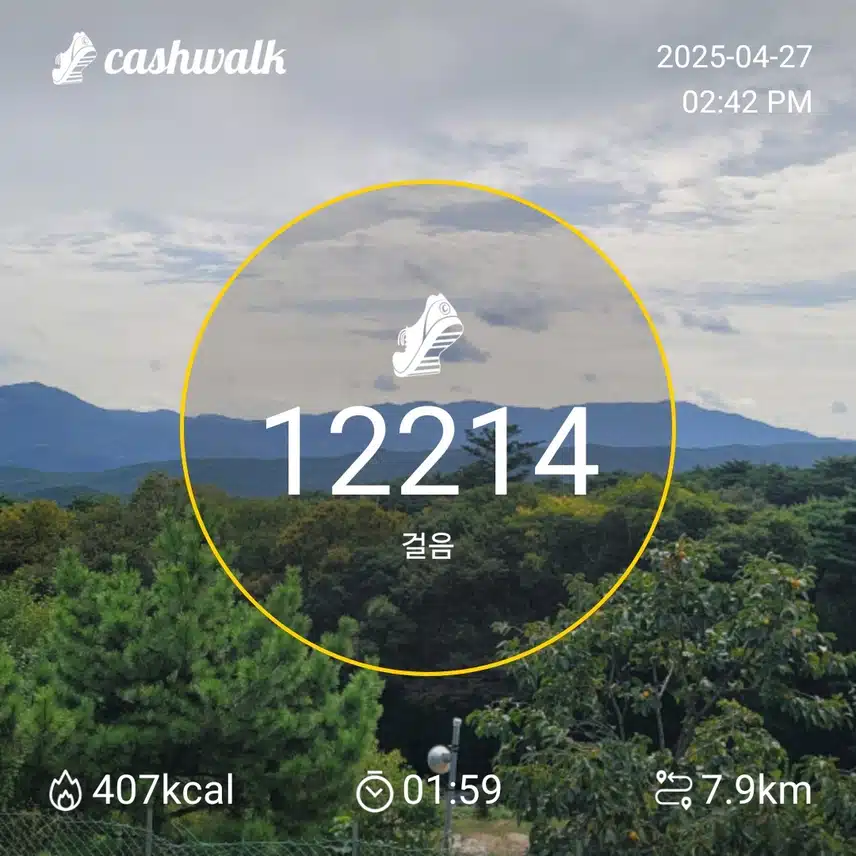 인증 