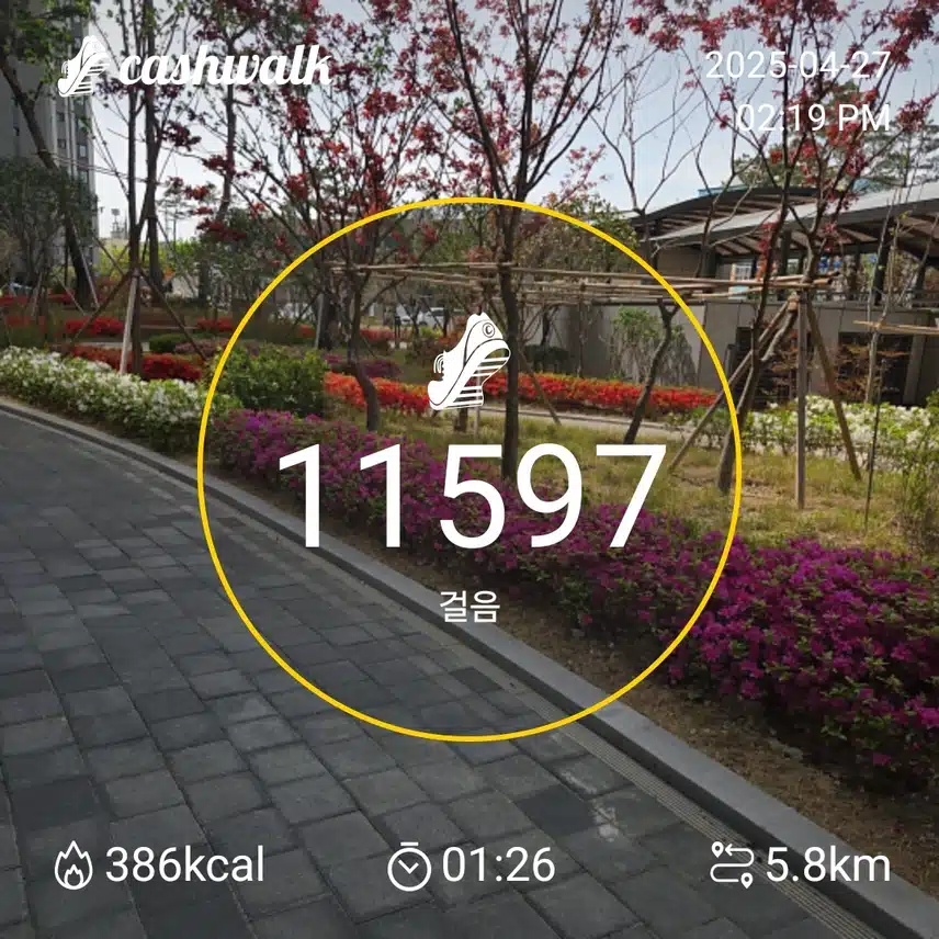 인증