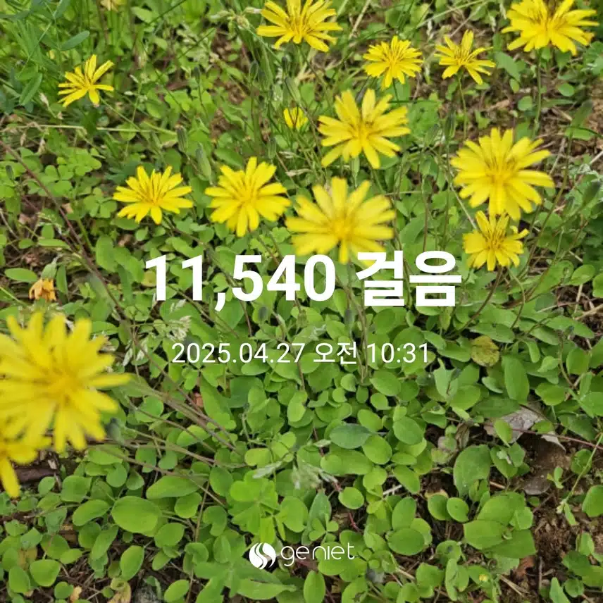일요일 만보걷기 