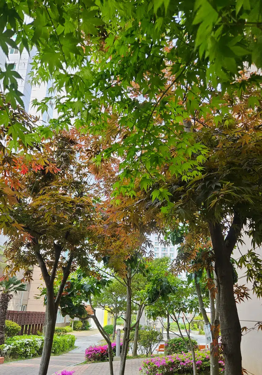 점심 햇살이 좋네요.