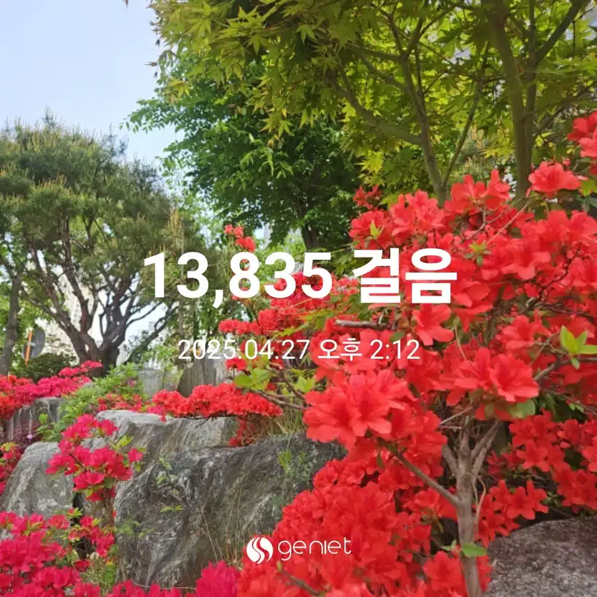 점심 햇살이 좋네요.