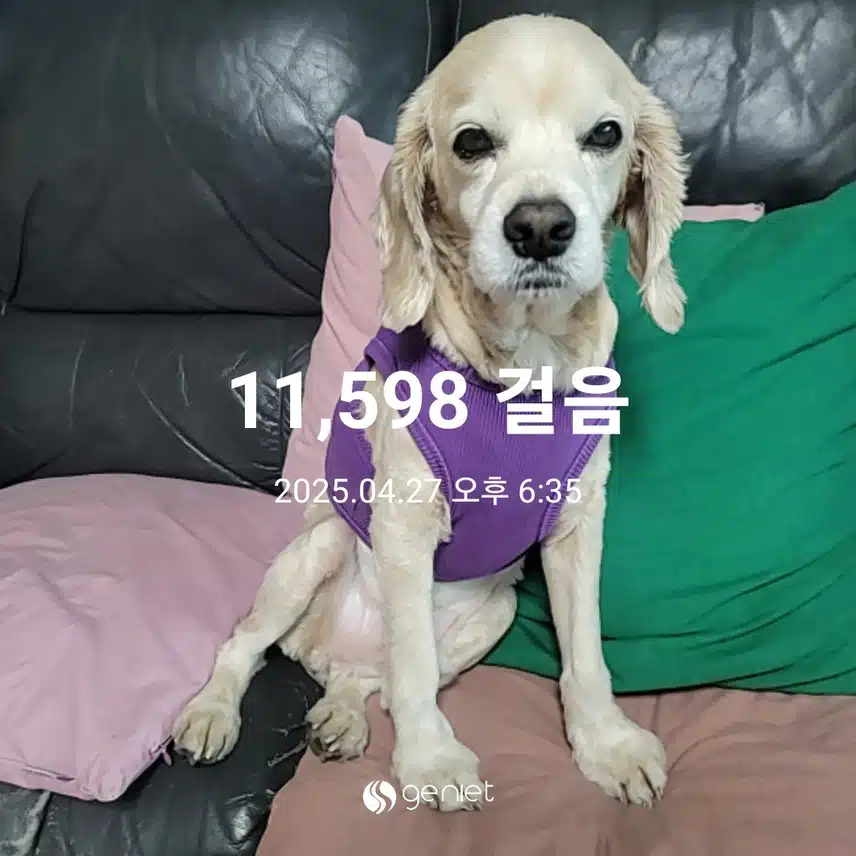 일요일 마무리 