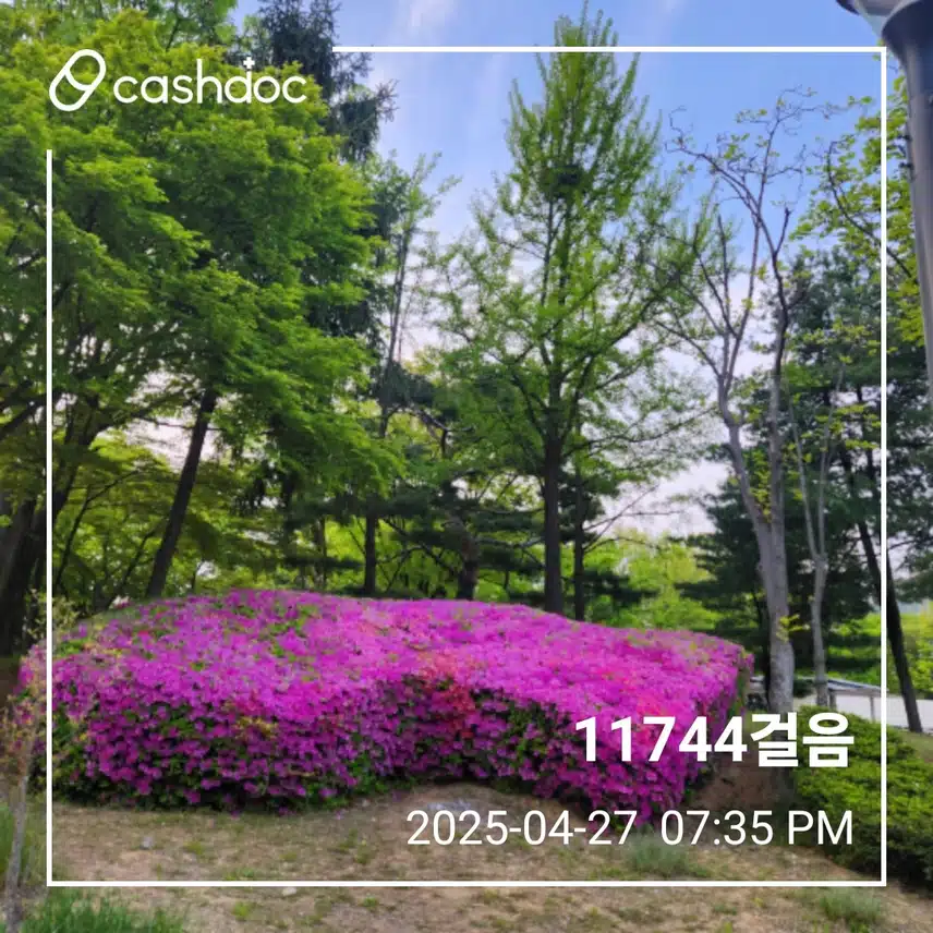 일요일 만보걷기 