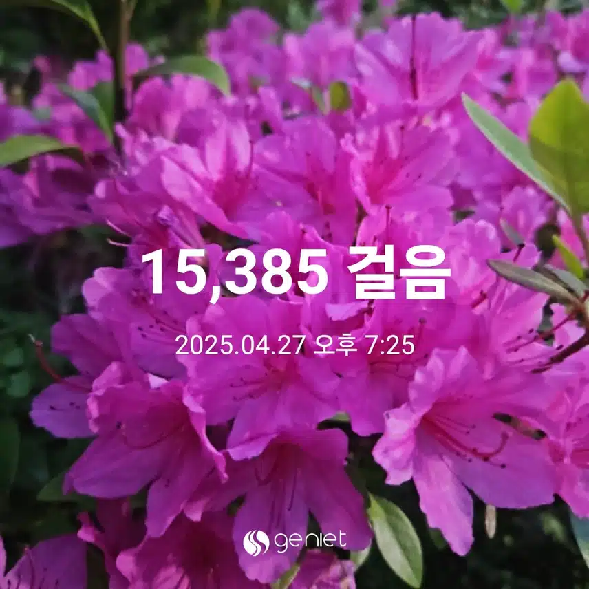 저녁 산책과 근력운동 🏃🏋‍♀️