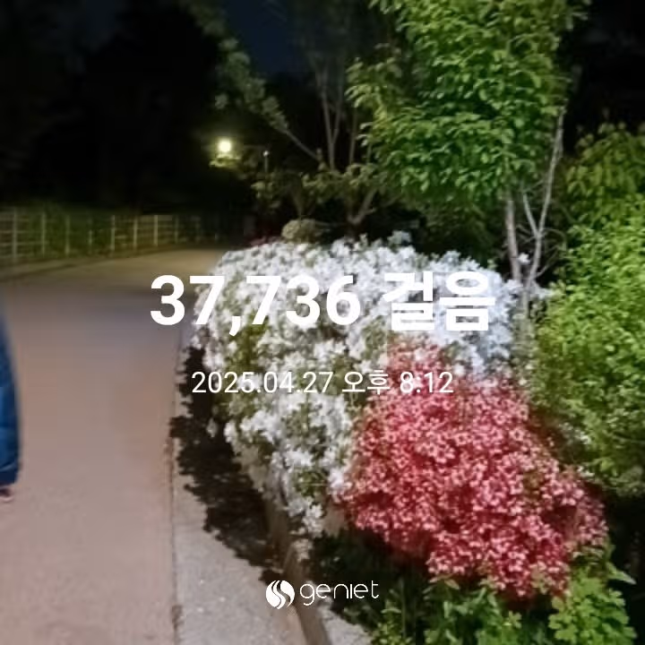 삼만보 걷기 