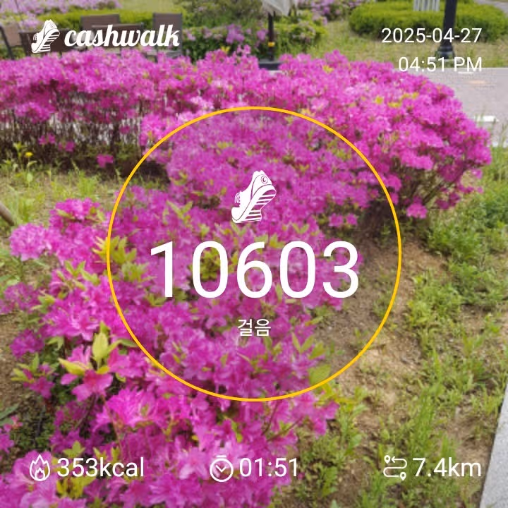 만보걷기 