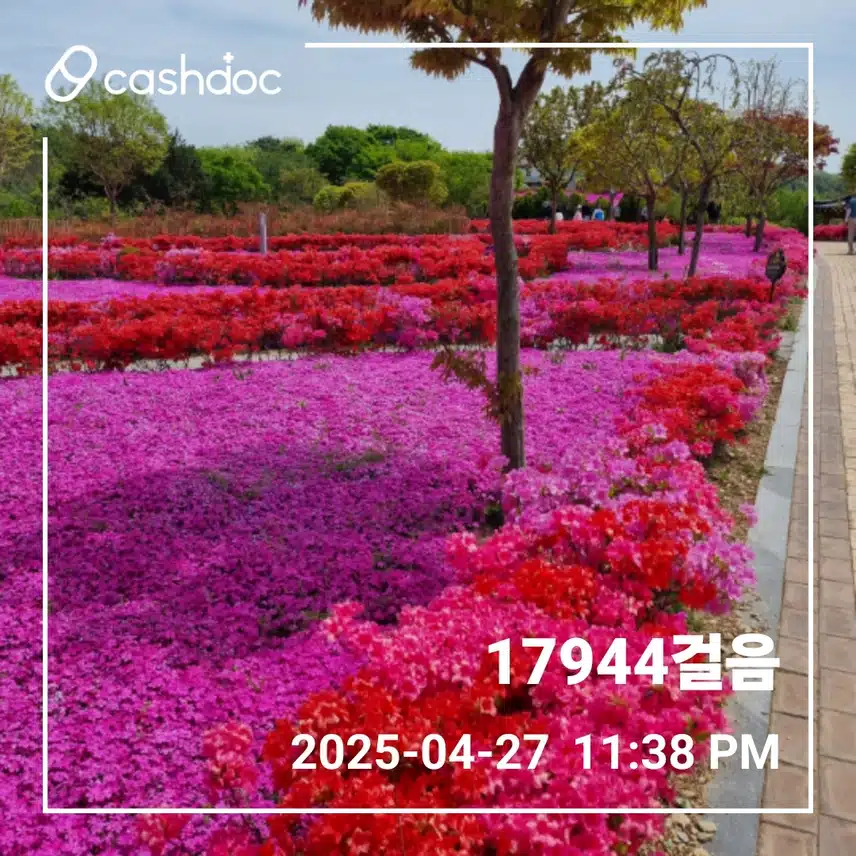  🌸 오늘은 나들이 걸음🌸