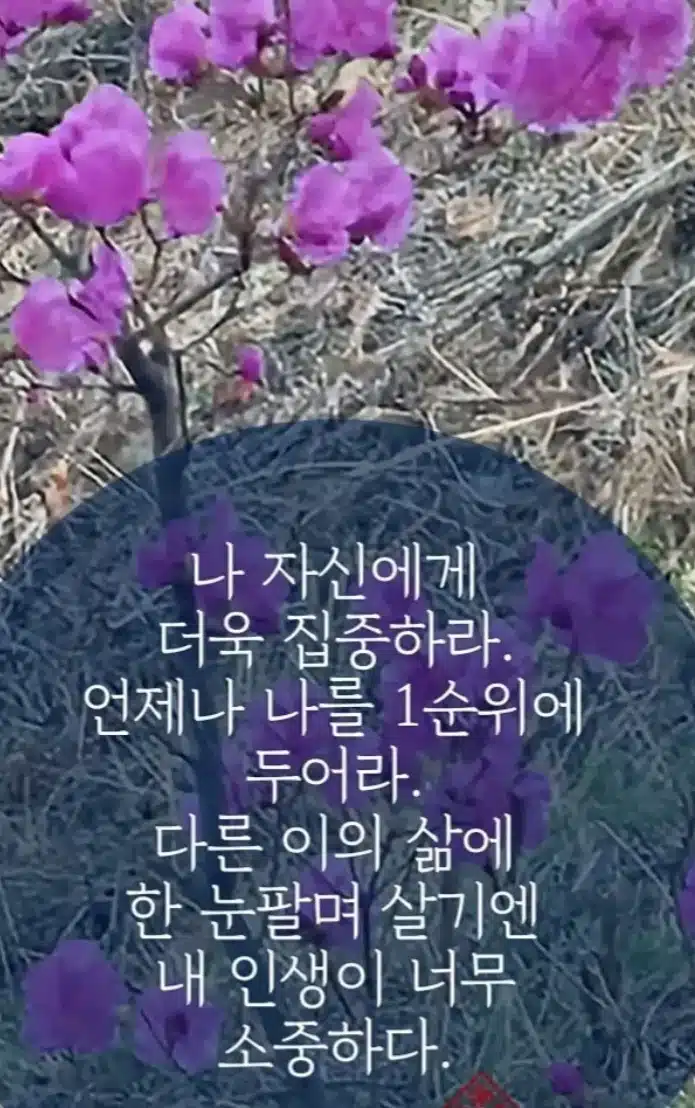 소중한 내 인생