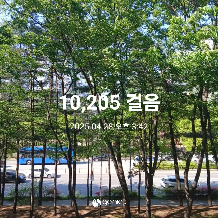 월요일 걷기운동^^