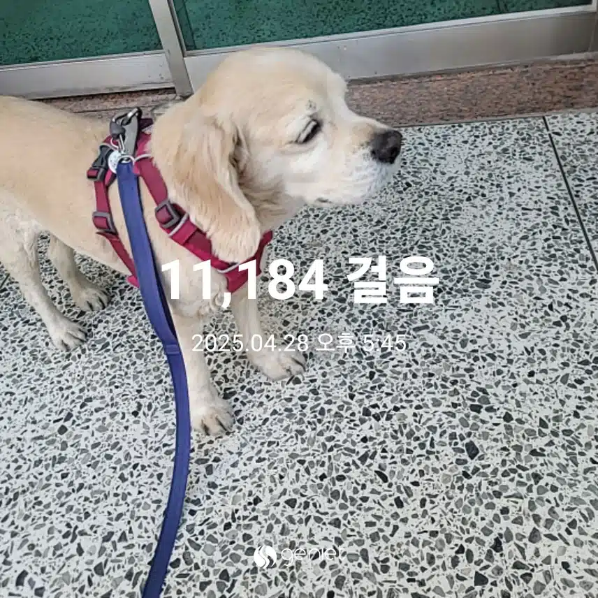 월요일 마무리 