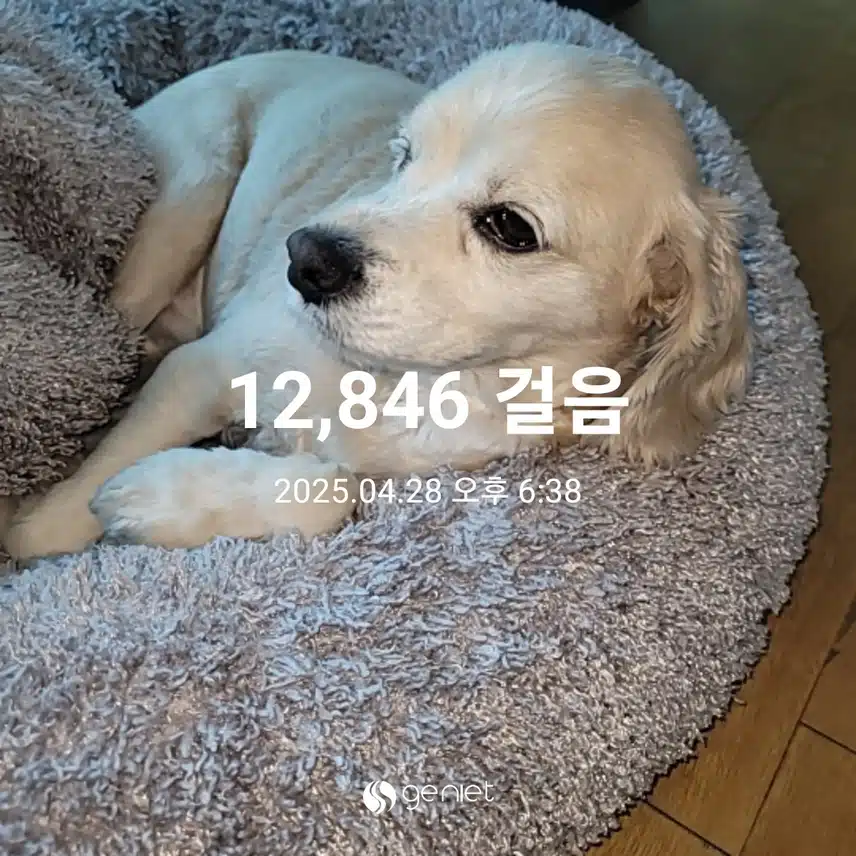 월요일 마무리 