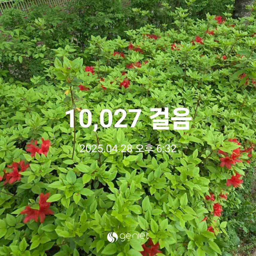 만보걷기 완료 