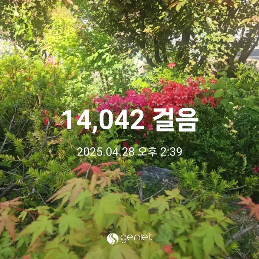 점심 산책길 걷기와 계단오르기로 