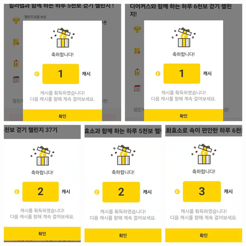 팀워크 하루 걷기 챌린지 인증 