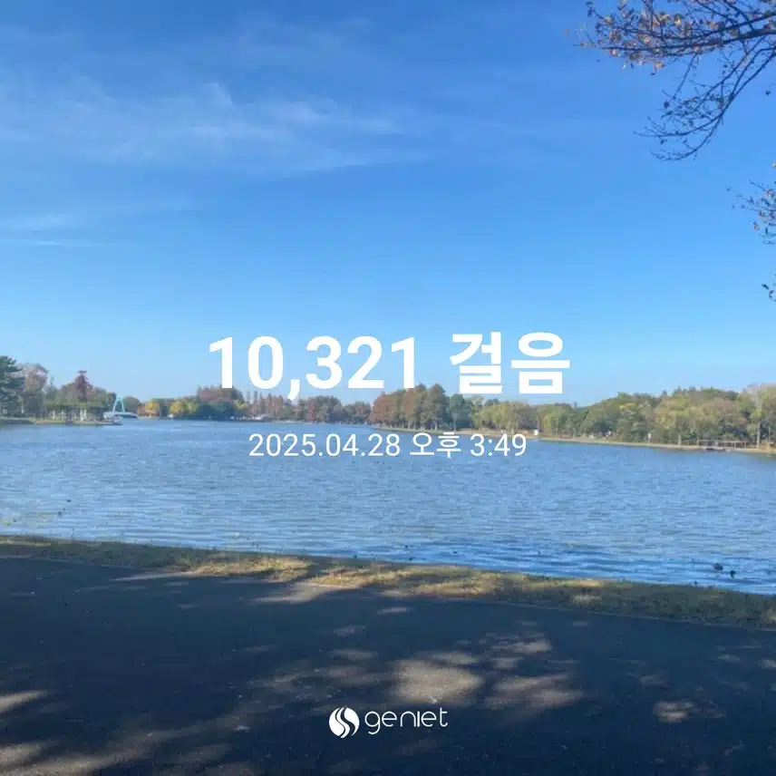 매일 산책하며 걷기