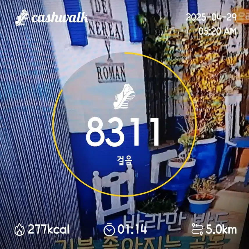 2일차 