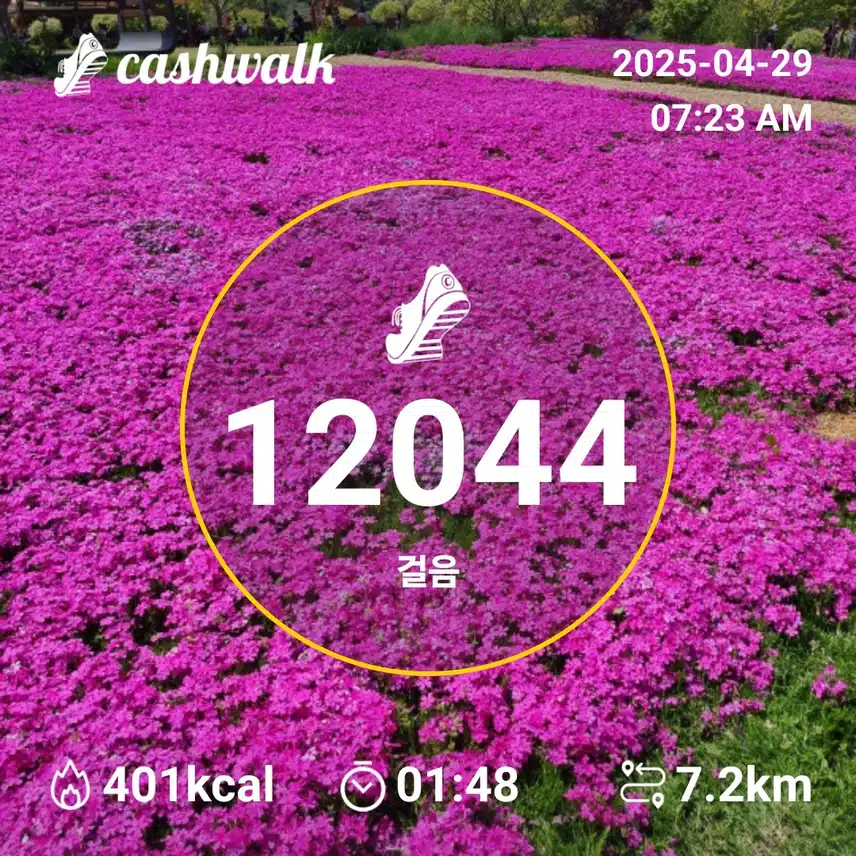   오늘도 만보걷기 새벽운동 
