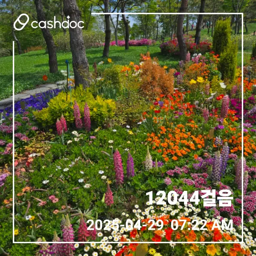    🌄 화요일 만보걷기 새벽운동🌄 
