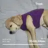 board-img