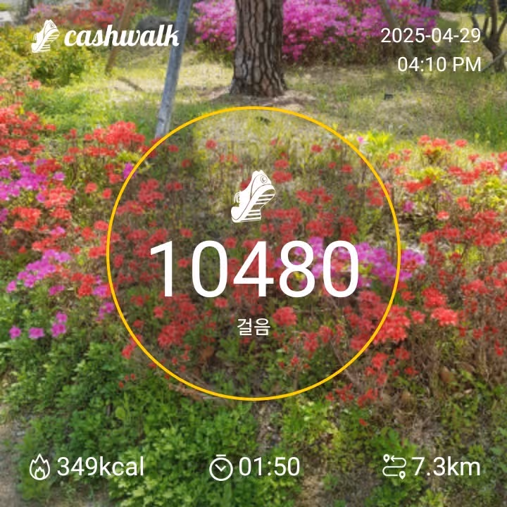 만보걷기 
