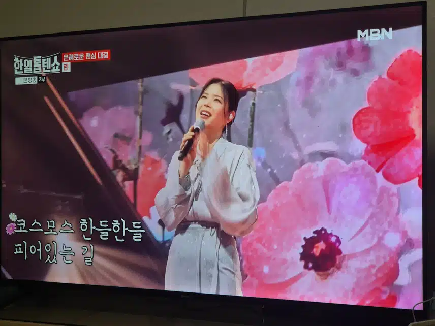 린님의 명품목소리로 듣는 코스모스피어있는 길 