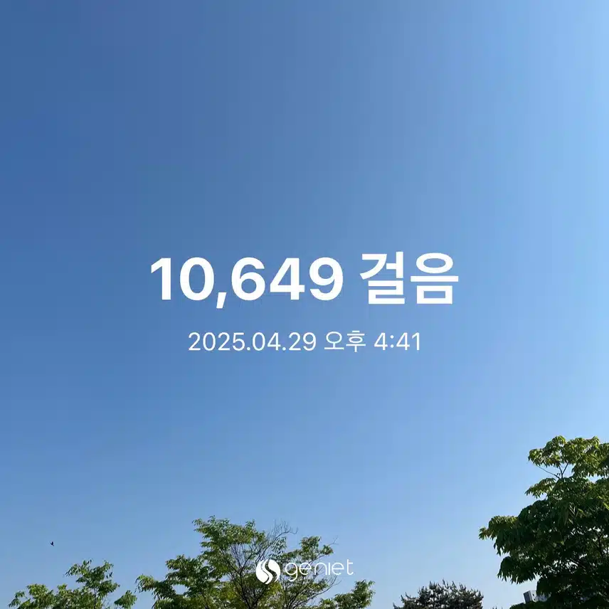 만보성공