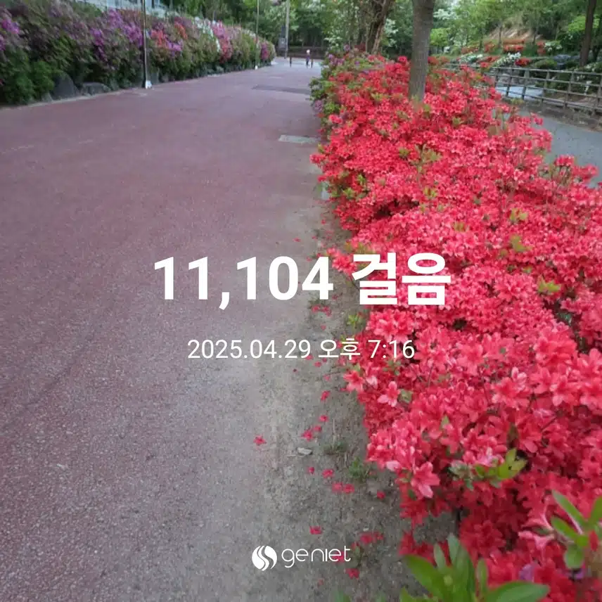 만천보 완료 