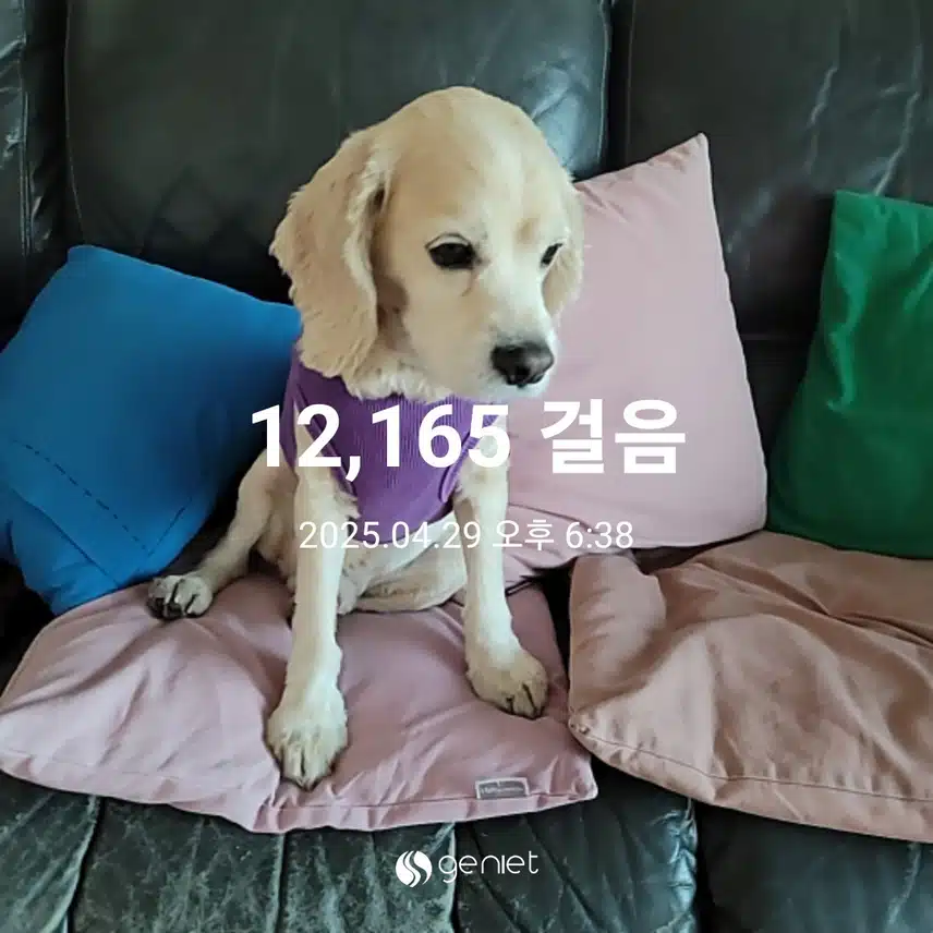화요일 마무리 