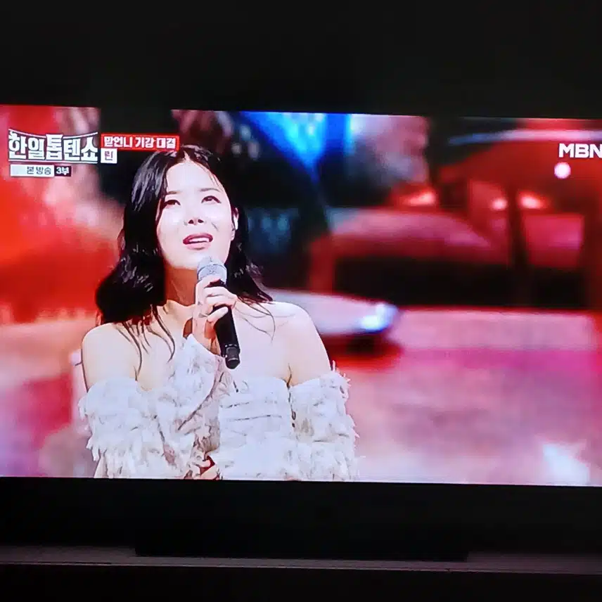 린님은 어떤 스타일의 노래도 다 잘하는것 같아요 