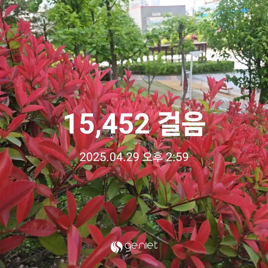 점심 산책으로 걷기와 계단오르기 