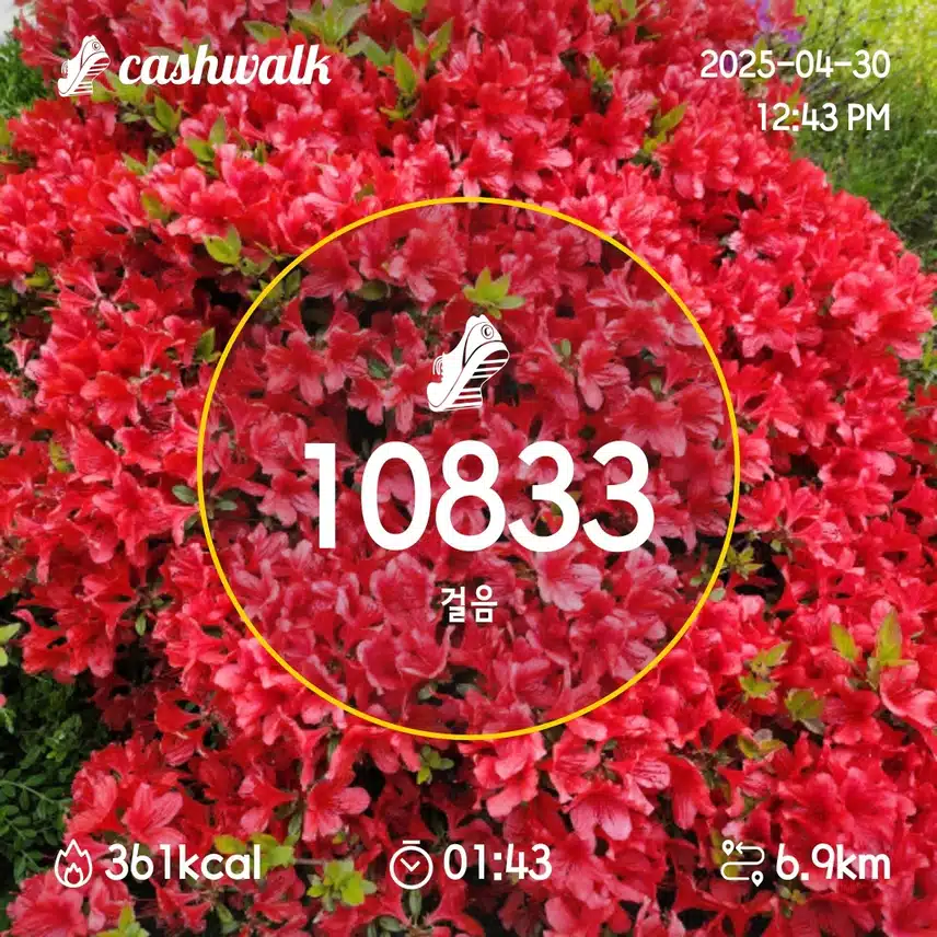 4.30  만보걷기 💕