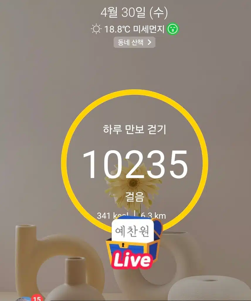 1만보 걷기