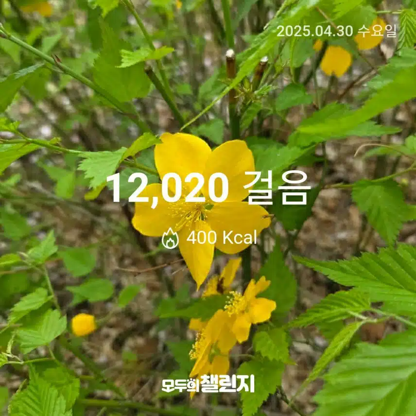 4월 30일 만이천보 완주