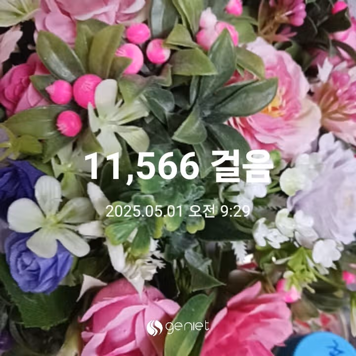 오전 운동 